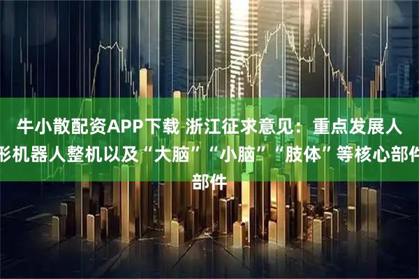 牛小散配资APP下载 浙江征求意见：重点发展人形机器人整机以及“大脑”“小脑”“肢体”等核心部件